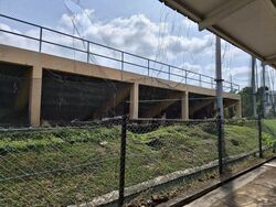 Siglap Road (D15), Detached #532729371